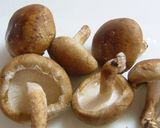 しいたけ鶏つくね詰め作り方1写真