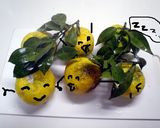 ゆずシロップ♪作り方1写真