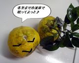 ゆずシロップ♪作り方2写真