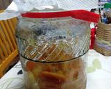 甘夏の発酵シロップ作り方58写真