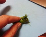 超簡単☆チューブでバターde明太子パスタ作り方5写真