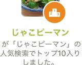 じゃこピーマン作り方4写真