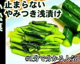 簡単!大人気やみつき小松菜と胡瓜の浅漬け作り方6写真