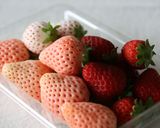 いちごのレアチーズケーキ作り方3写真