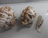 鶏もも肉のトマト煮込み作り方4写真