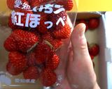 【低糖質】白ワインで「苺のコンポート」作り方1写真