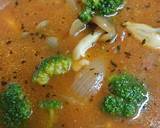鶏もも肉のトマト煮込み作り方18写真
