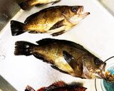 簡単過ぎる昆布締め。刺身大量消費作り方1写真