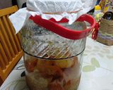 甘夏の発酵シロップ作り方61写真
