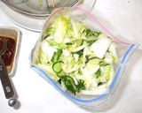 白菜の梅肉浅漬け♪簡単熱がこもる体質薬膳作り方14写真