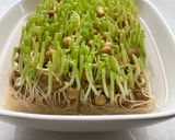 離乳食☆豆苗レンジで下ごしらえ作り方5写真