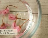 春色♪桜と抹茶の水ようかん作り方2写真