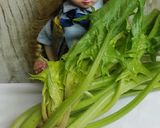 リカちゃん♡ほうれん草生ハム炒め♪作り方1写真