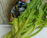 リカちゃん♡ほうれん草生ハム炒め♪作り方1写真