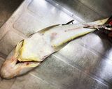 一番簡単で綺麗なマゴチの捌き方作り方3写真