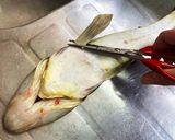 一番簡単で綺麗なマゴチの捌き方作り方4写真