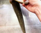 一番簡単で綺麗なマゴチの捌き方作り方6写真