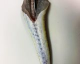一番簡単で綺麗なマゴチの捌き方作り方11写真