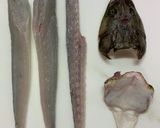 一番簡単で綺麗なマゴチの捌き方作り方13写真