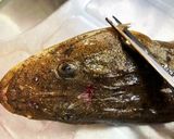 一番簡単で綺麗なマゴチの捌き方作り方1写真