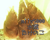 簡単たけのこの長期保存方法 水煮 下処理作り方11写真