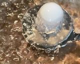 簡単！泣きたくなる美味しさのプロの味玉作り方4写真