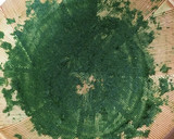 筍の木の芽和え作り方2写真