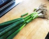 万能ネギともやしのナムル作り方7写真