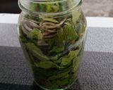 葉ワサビ醤油漬け作り方4写真