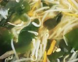 忙しい朝にも！簡単もやしとワカメのスープ作り方3写真