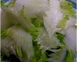 みかんと白菜のサラダ作り方20写真