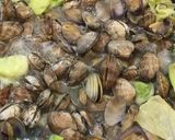 あさりと春キャベツの白だし蒸しダイエット作り方15写真