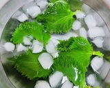 大葉　青紫蘇　塩漬け作り方2写真