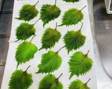 大葉　青紫蘇　塩漬け作り方3写真