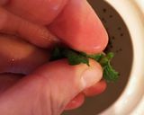 清見オレンジでオレンジ・ミントティー作り方9写真