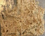炊飯器で簡単！メープルマロンパン作り方4写真
