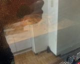 あみ脂の和風春菊ハンバーグ作り方14写真
