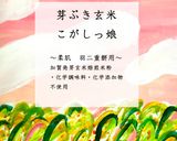 人参のグラッセペースト（こがしっ娘使用）作り方8写真
