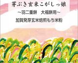 豆乳ココアババロア作り方11写真