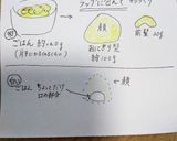 今日のキャラ弁（あつ森〜しずえさん）作り方2写真