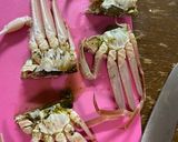 ズワイガニのトマトソースパスタ作り方2写真
