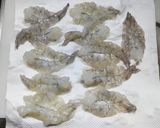 市販の塩茹でそら豆とエビのあんかけ作り方4写真