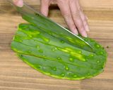食用サボテン 太陽の葉の下ごしらえ作り方7写真
