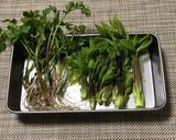 山菜天ぷら　たらの芽•こしあぶら•セリ根作り方2写真