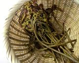 わらびごはん作り方1写真