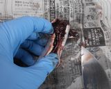 たけのこといわしのかば焼き♪めっけ作り方4写真