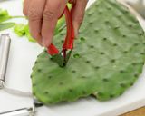 食用サボテン 太陽の葉の下ごしらえ作り方5写真