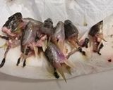 ★生きてて新鮮★簡単★ハゼの捌き方★作り方6写真