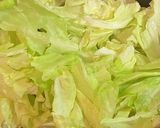 簡単・あり合わせ野菜プラスで回鍋肉作り方2写真
