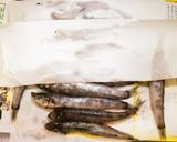 メヒカリはこう食べる!極上白身天作り方3写真